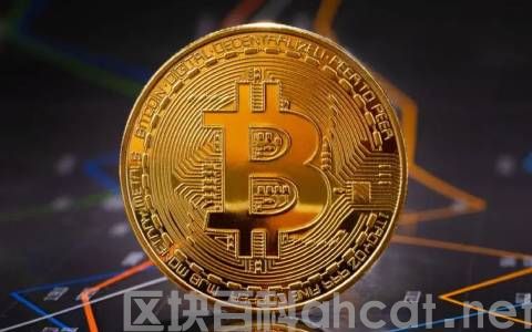 在哪里买卖交易比特币 全网最新BTC交易软件插图1