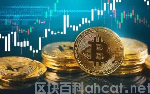 国内比特币交易所 抄比特币的软件插图