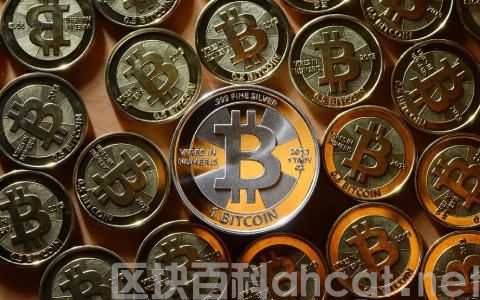 欧意比特币下载_欧盟承认的虚拟货币软件V6.1.24插图3